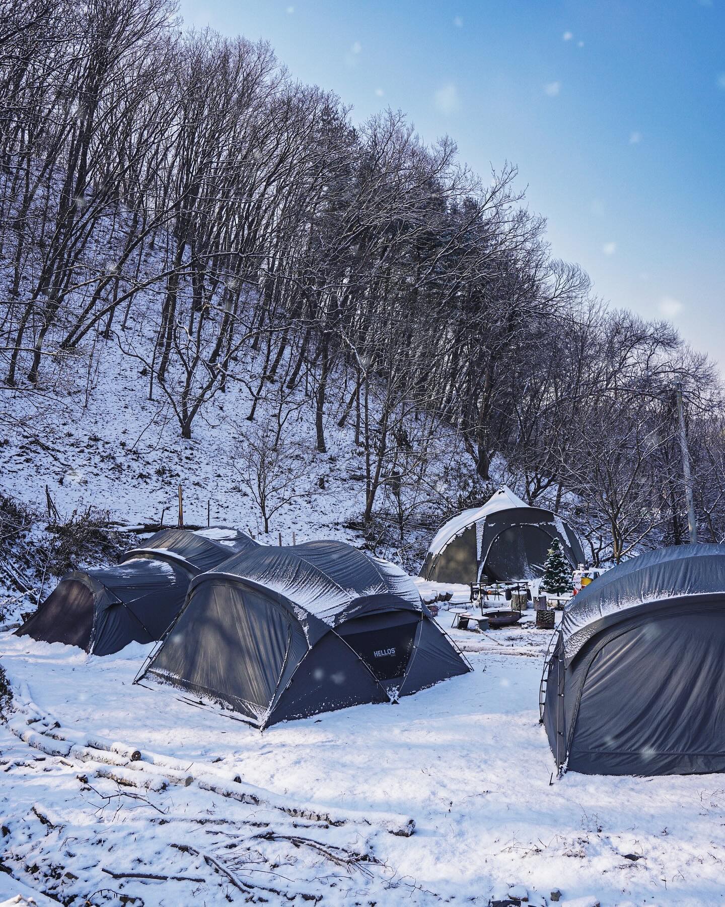 눈 내리는 헬로스마을☃️

겨울캠핑 안간다고 했었지만
너무 좋았건 설캠의 추억..⭐️

캠핑 가고 싶은데 가고 싶지않은 날씨
그리고 이미 차버린 주말 일정 덕분에
한동안 캠핑일정이 없네요😢

캠핑가고 싶은데 봄은 언제오는거죠..??

오늘도 눈 온다고 하니
모듀 안전한 하루 보내세영!💚

🏷️ 텐트 hellos_factory hellos_camp