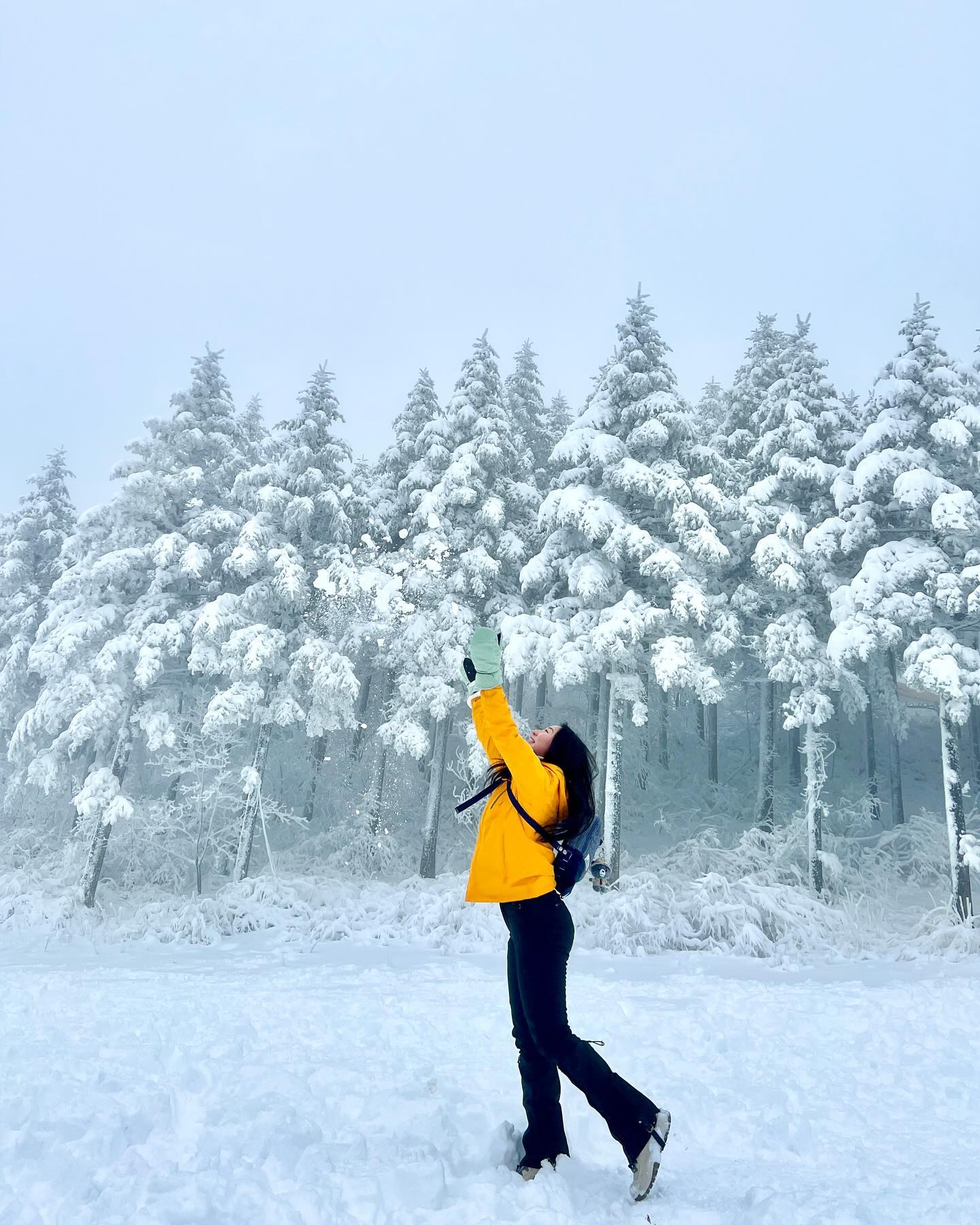 .
올 겨울 두번째 눈꽃산행❄️🩵 
우리동네 선자령🏔️

신나니까 당일업로드
사진마다 헤벌쭉🤗
+한껏 업된 목소리

하얀 눈세상 너어무 예뻐🩵
내일도 갈까 고민중...ㅋㅋㅋ
