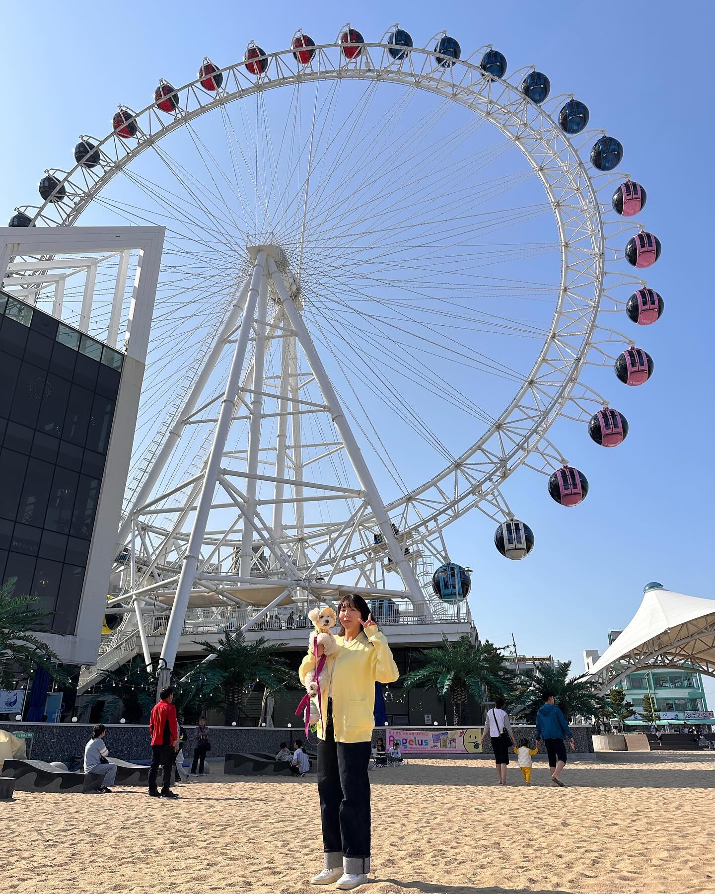 듑이랑 강원더 여행💛