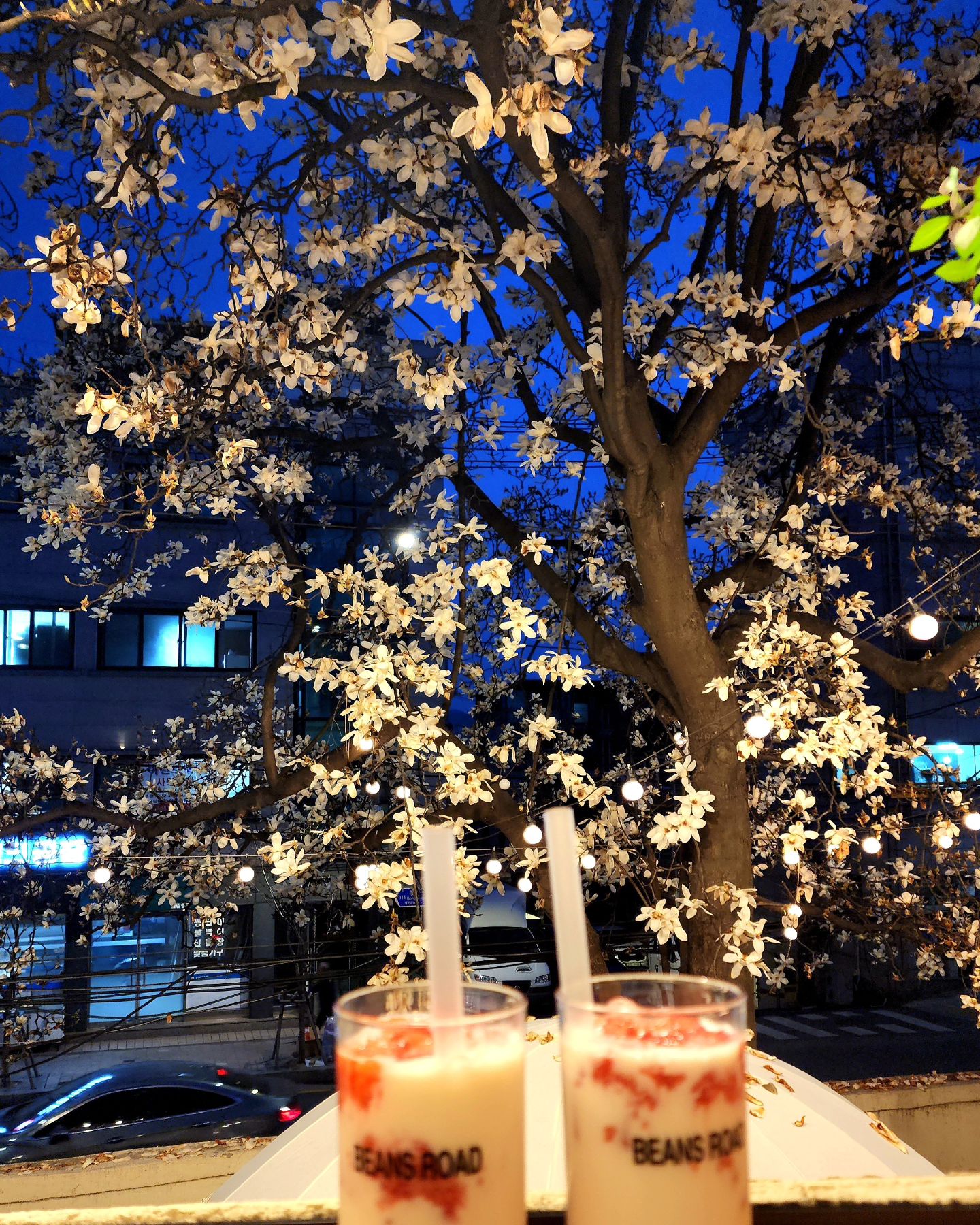 만개한 #목련 이번 해에도 실패ㅜㅠ
진아 선물 고마워 💕

집에서 10분 거리에 이런 카페가 있었다니 #빈스로드
#일상담기 #일상기록 #일상 #선팔하면맞팔 #소통 #소통환영 #cafe #동네카페 #상봉카페