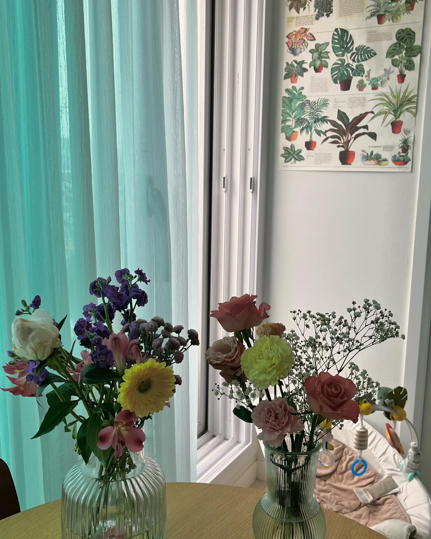 밖에 자주 못나가지만
당분간은 집에서 꽃 향기 가득💐

아기에게도 꽃향기가 괜찮기를 바라며
금욜 퐈이팅🌟

#꽃스타그램