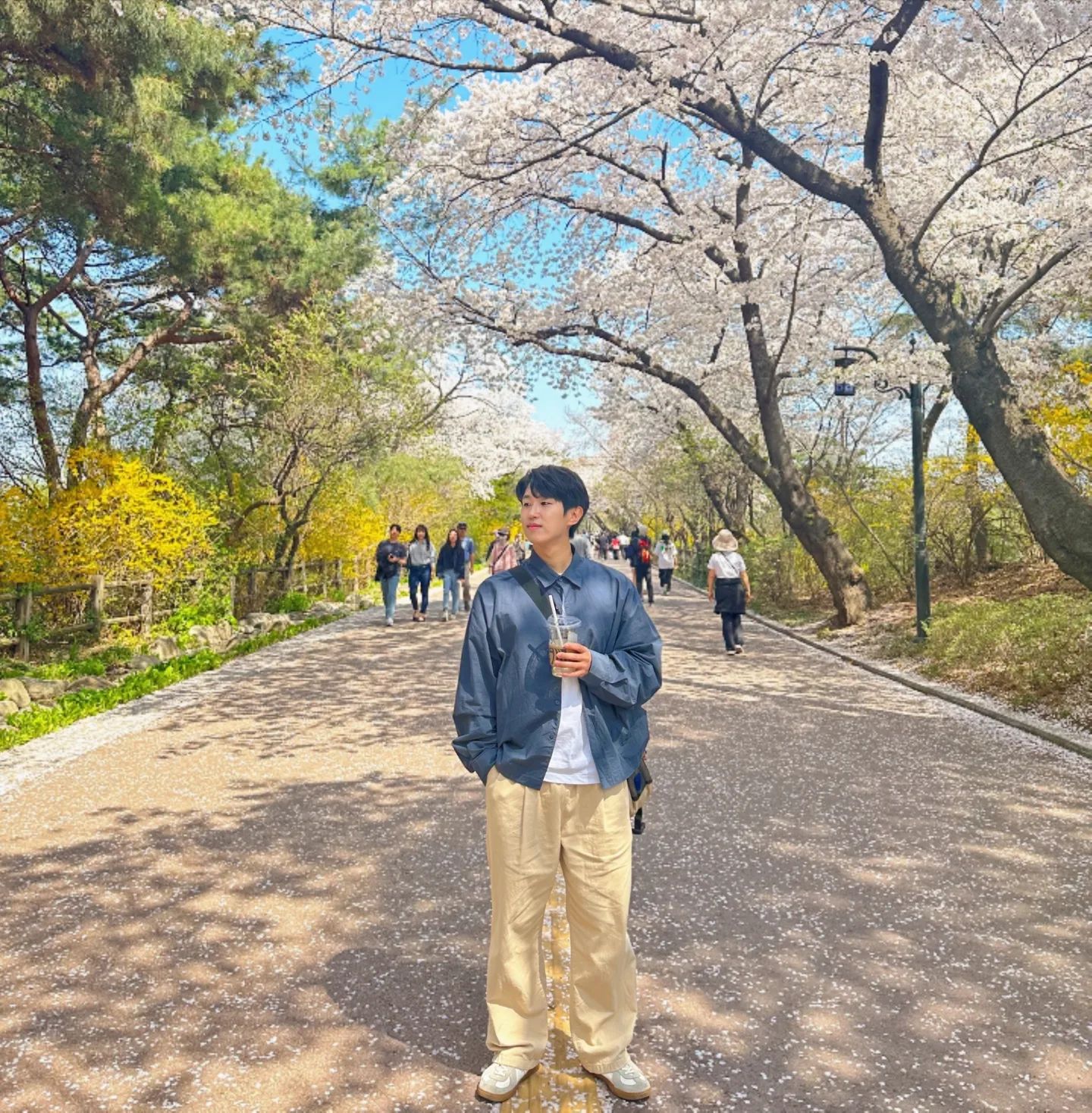 🌸🌸🌸❤️🌸🌸🌸
올해 벚꽃 다 봤다