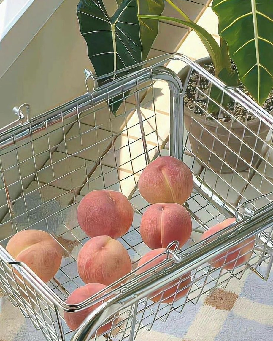콘텐츠