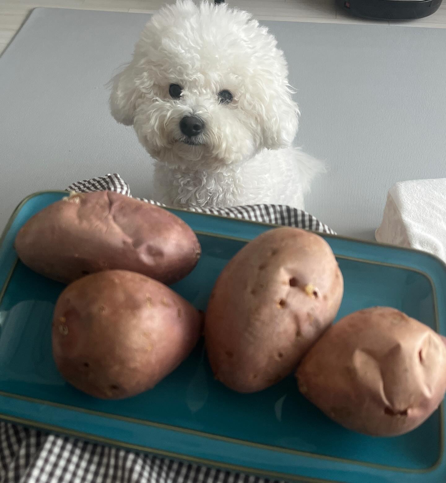 고구마 앞에만 서면 작아지는 나..⭐️
