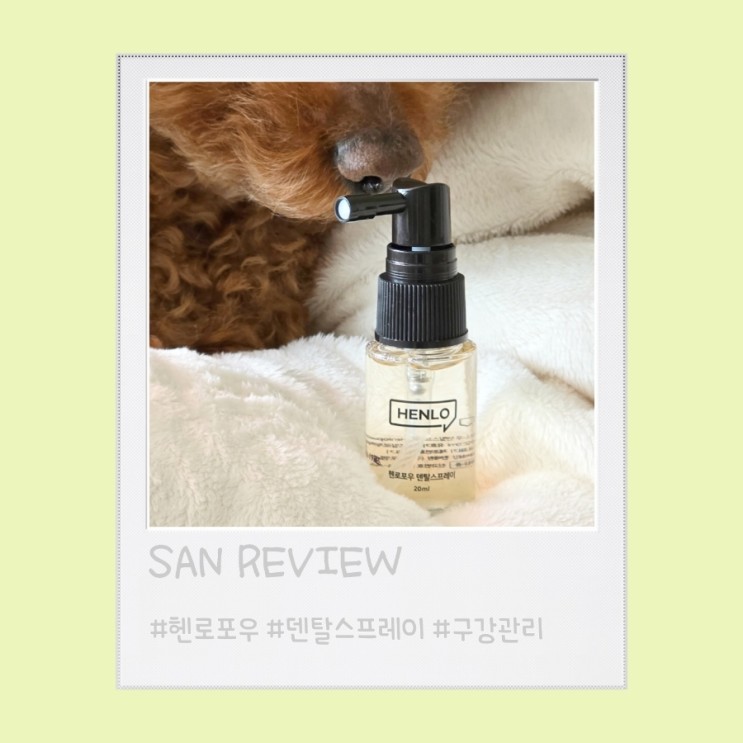 내돈내산 추천하는 강아지 구강 관리 '헨로포우 덴탈스프레이'