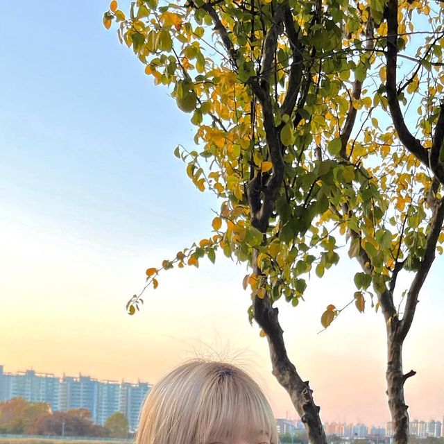 윤 on Instagram: "#광고 요즘 입기 너무 좋은 맨투맨♡︎ 국내 자체 제작에 고품질 원단까지 믿고 입는 #스탠다드에러 - #스탠다드에러맨투맨 #남여공용맨투맨 #세미오버핏 #캐주얼룩 #맨투맨추