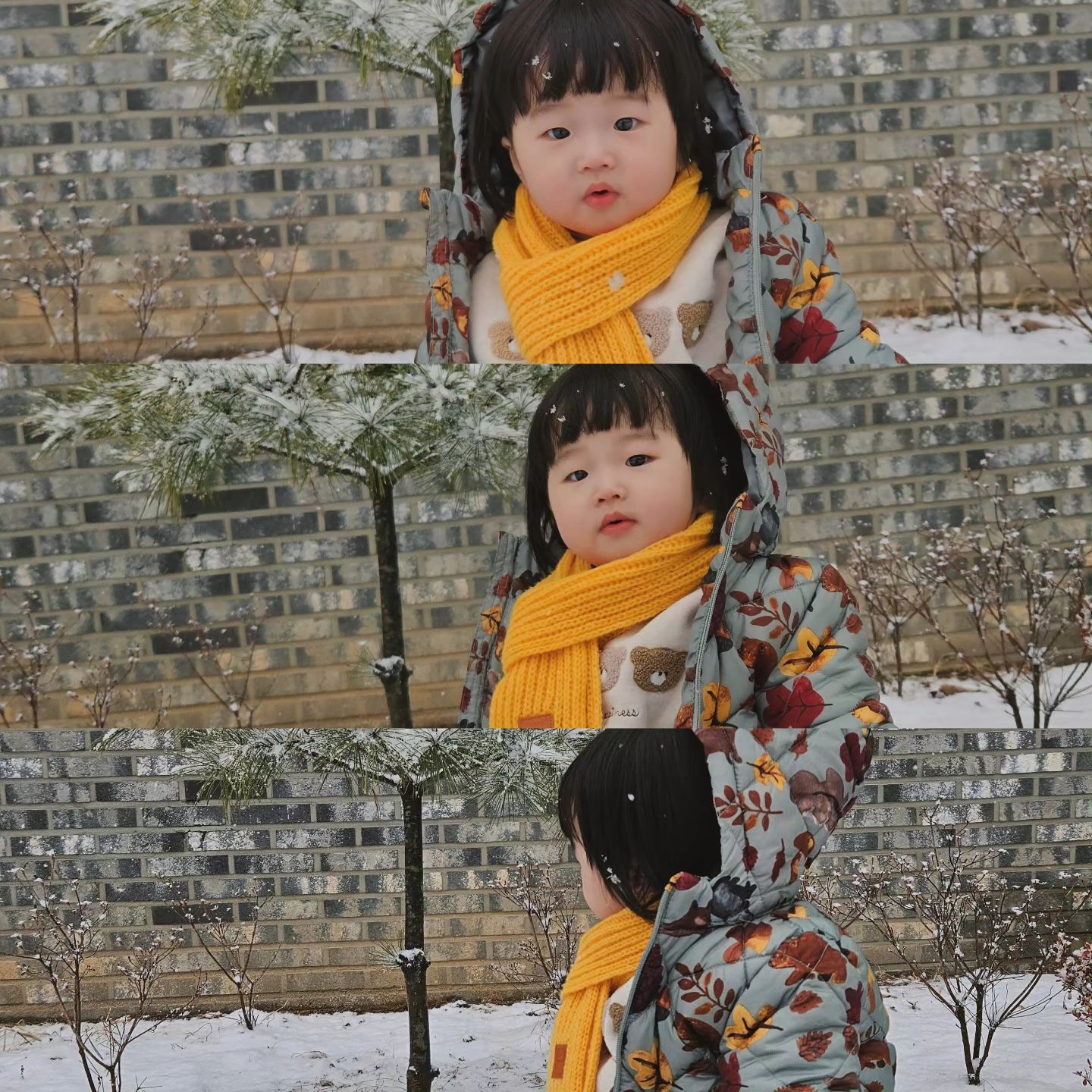 ☃️

#눈 #일상 #아기 #사진 
#daily #dailylook