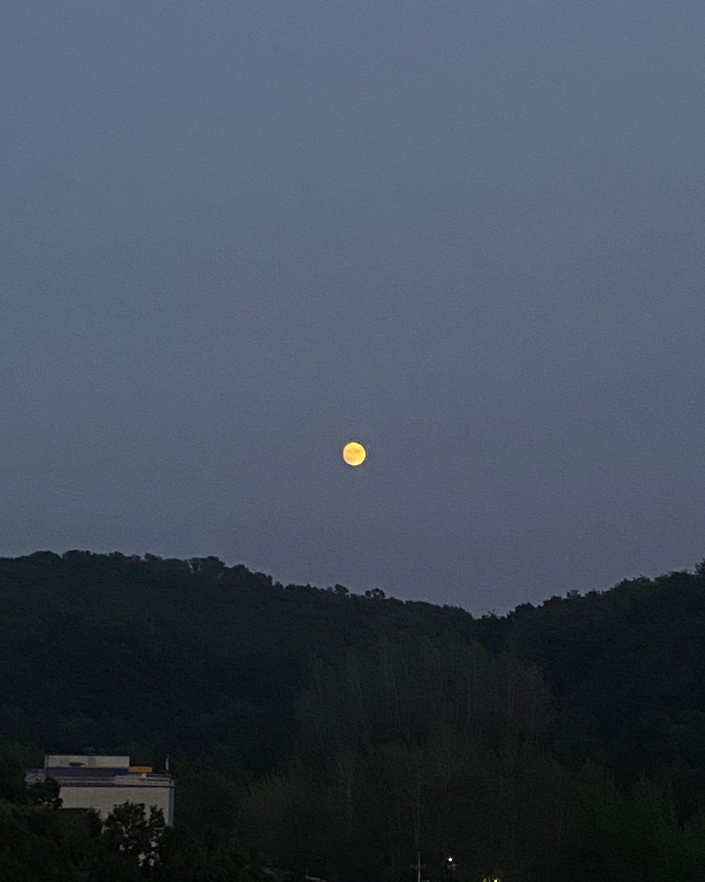 이번 추석 길어서 너어오어무 좋다❣️

늘 추석때마다 해외로 갔던거 같은데
한국에서 그동안 못만났던 친구들도 만나구
허리 뽀사지게(?)잠도 자고 못했던 일들도 하면서 힐링 하니까
이 또한 행복하구나😌

담주에 포동하게 출근 예정;;

모두 연휴 잘 보내시구
맛있눙거 드시면서 체력 보충 하십셩🫶🏻