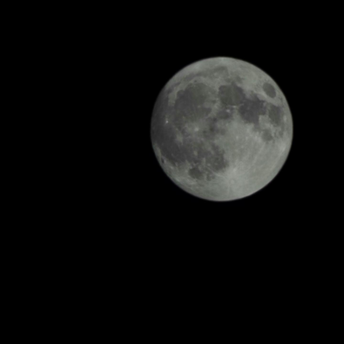 보름달 🌕 
소원 들어주세요!
