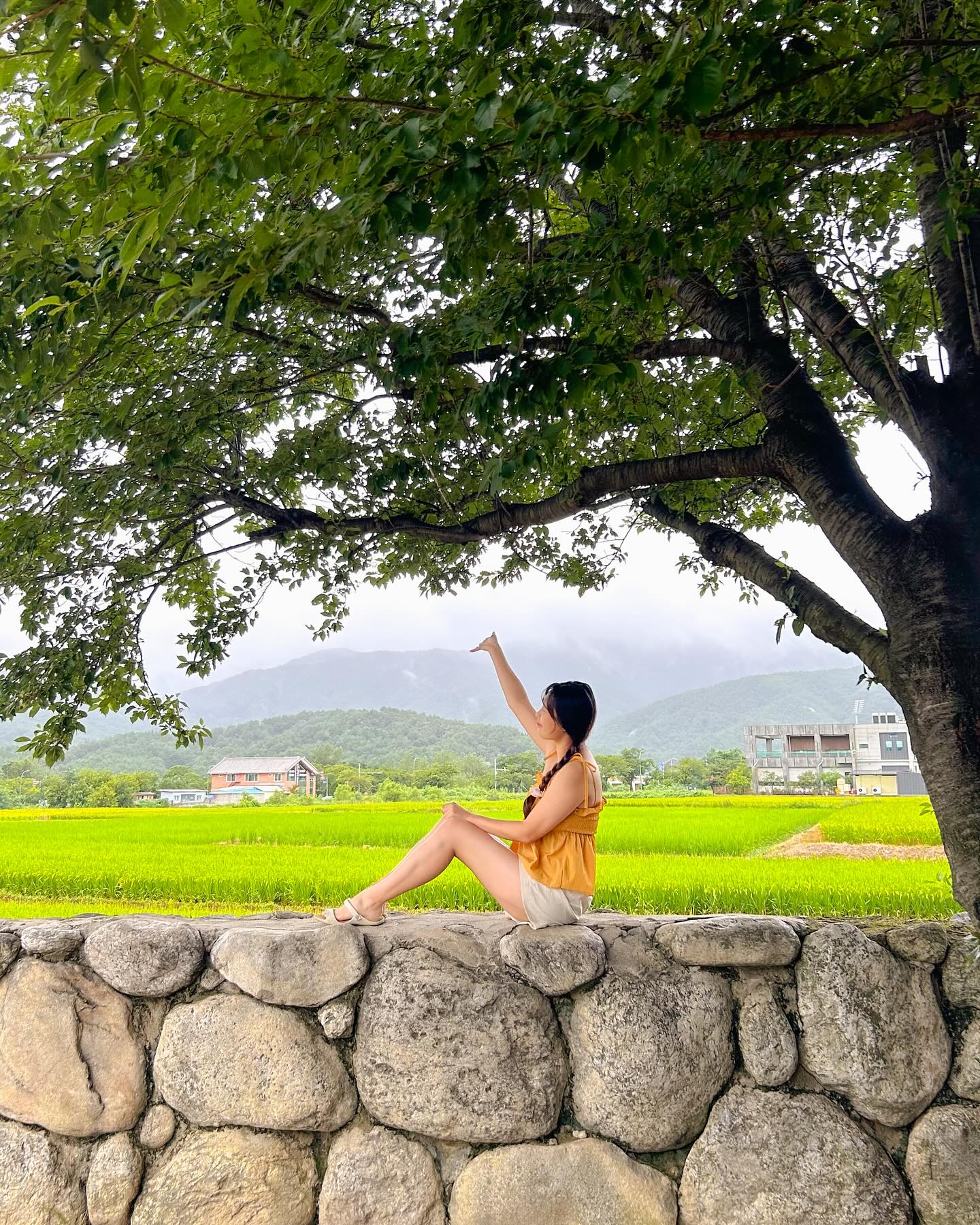 여름휴가지 속초에서 마운틴뷰로 1등인 카페💚🌿

흐리고 비오는날 갔더니 구름이 산까지
내려와있는 멋있는 모습을 볼 수 있었어요🥹🫶🏻 
어떤 날씨에 가도 예쁜뷰를 볼수 있답니다~!!

카페 구조도 펜션을 개조해 만든 카페 같았어요 !!
좌석이 있는 방이 여러개 있어서 신기했어요 🫢
(화장실도 방마다 있었고, 사용O) 

아메리카노 산미 없어서 좋았고 치즈케이크도 맛있었어요
뷰도 예쁘고 음료,디저트 맛있는 속초 카페 추천합니다🫶🏻🫧✨

📸 : 2023.08.09 

#지니in_속초

📍 스테이 오롯이
🏷 강원 속초시 관광로408번길 42 스테이오롯이
⏰ 매일 : 10:00-18:00 (last order 17:30)
🚘 주차공간O (카페 내 주차공간O)
▫️뚜벅이분들은 택시 아니면 오기 힘들것 같은 카페에요🥲

🔖 더 많은 여행•데이트 정보와 각종 꿀팁은 
_y.jieun_ 팔로우 하시면 보실수 있습니다 👆🏻✨