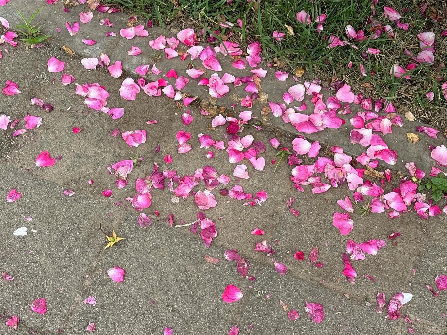 잘 놀다 갑니당😌💛