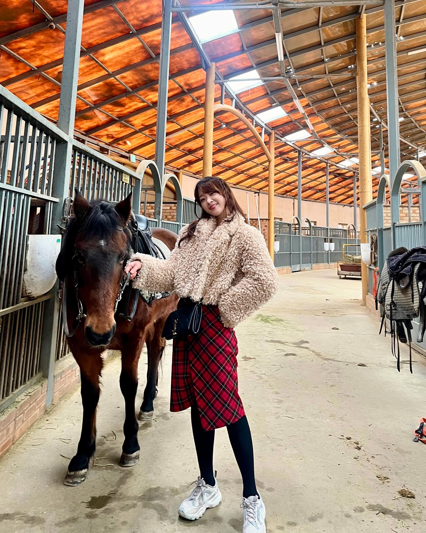 #승마 #horse 예쁘고 착한 말 버니 😍 다음주에 간다 언니가

#베르아델승마클럽