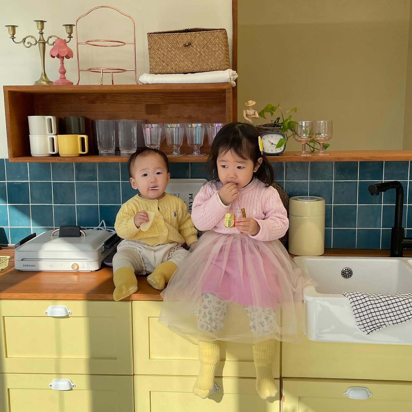 🎈대구 달서구 장소대여 [넘실]

노랑러버의 너무나도 내 스타일 워터룸💛💛 
애들 사진도 이쁘게 잘 나오고 기분 좋은 색감!

금요일에 급하게 워터룸 예약하려고 보는데
‘당장 내일인데..토요일인데.. 자리 남은곳이 있겠나..’
하면서 봤는데 집에서 너무 가까운곳에 오전타임
딱! 있길래 바로 예매 ✌🏻

5시간대여이지만 왜 2시간정도의 느낌인건지..
시간 진짜 순삭
내 멘탈도 순삭

늘 시작은 좋으나 끝은 지옥이니..🤢
오늘 길다솜 완전 하드캐리하셨다
다신 어디 가고 싶지않네 ㅎ 내새끼지만..
아니네? 내새끼라서 성질 겁나 드릅네😇

#다경1024일 #다솜411일
#33개월아기 #13개월아기
#다다자매사랑

#장소대여 #키즈카페 #워터룸 #대구워터룸 #넘실 #달서구워터룸 #대구장소대여 #대구