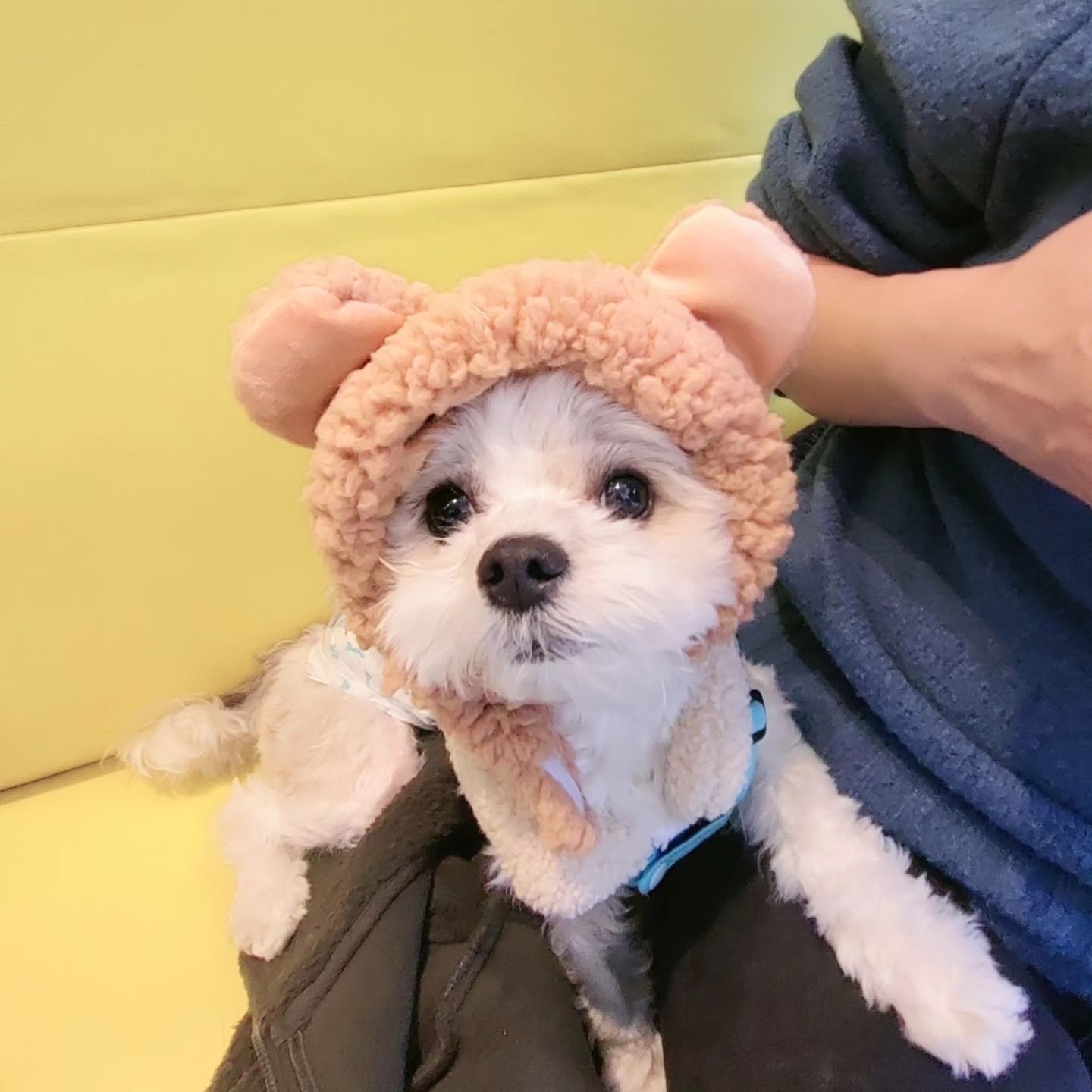 🎄~ Merry Christmas ~ 🎅
🫶칭구들 가족들이랑 행복한 하루보내🫶