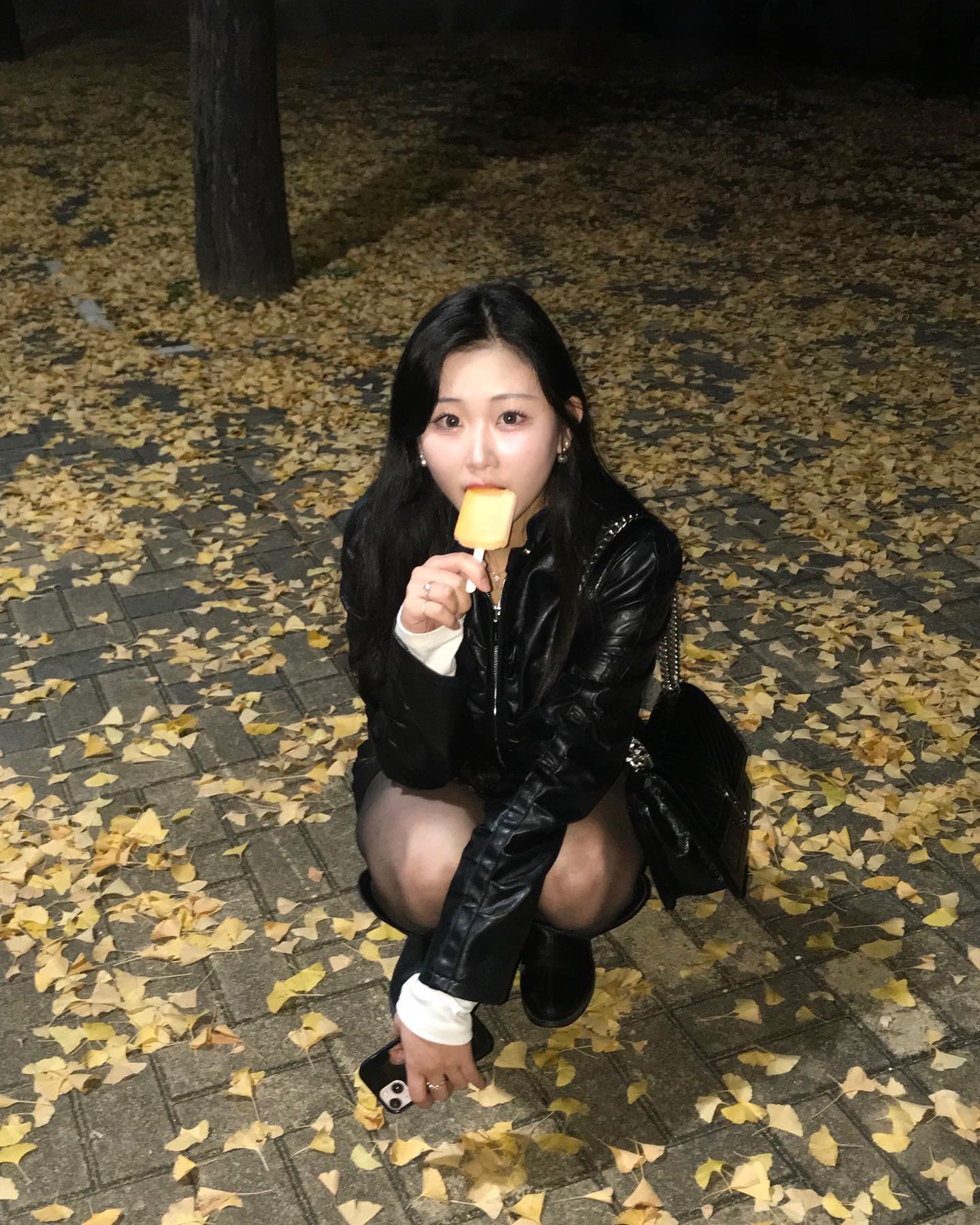 낙엽이 떨어져요 🍂🍁단풍놀이 가구싶다 !