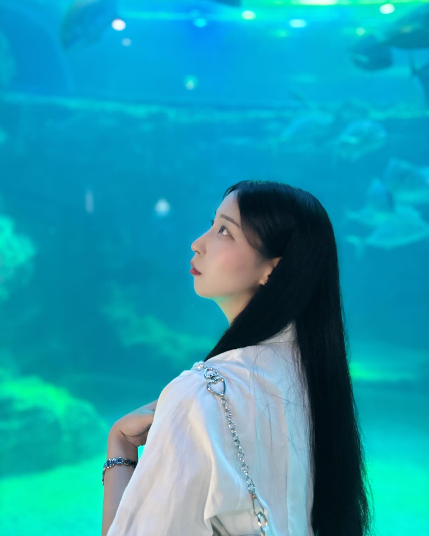 아쿠아리움🤍