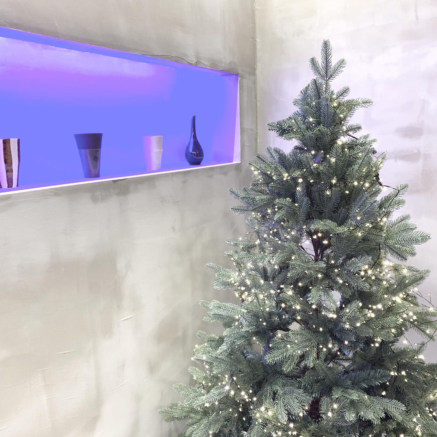 🌲

돈까스집이 이렇게 예쁘다니 〰️

바삭바삭 돈까스,
나랑 애기랑 너무 맛있게 먹고 옴 ! ! 
단골예약 💚

#이이칸지 #청라맛집