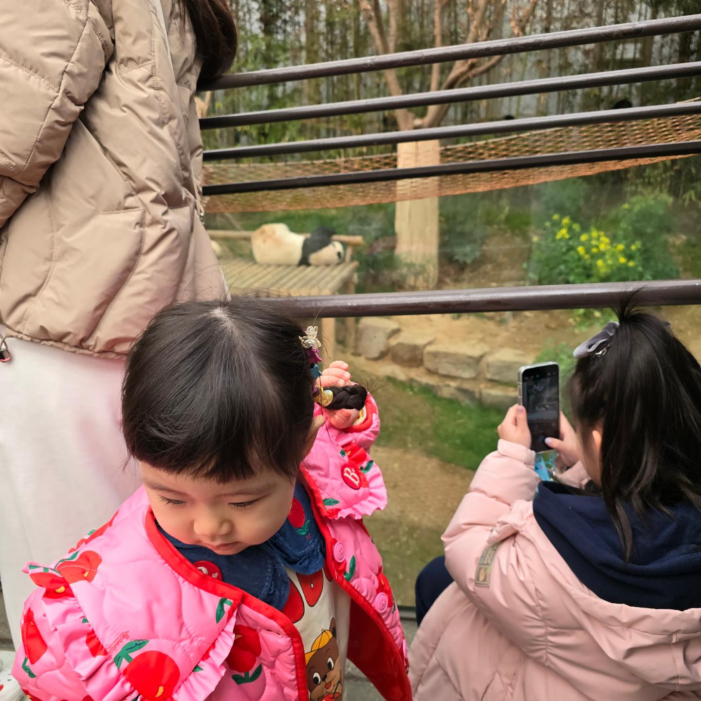 2월의 에버랜드.

🐼 푸바오, 로스트밸리 새공연, 씨라이언 공연
야무지게 즐기고 왔지이🦒