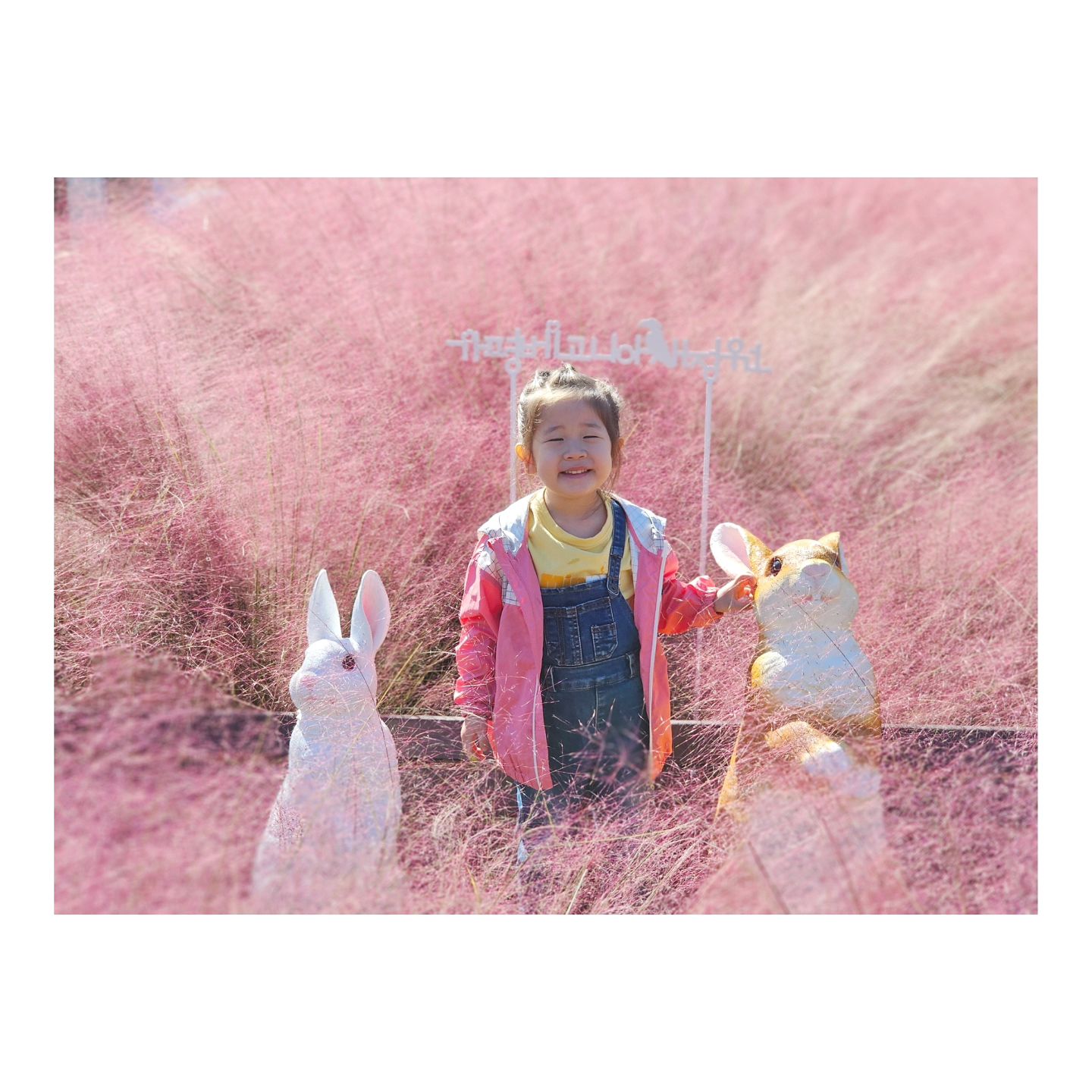 우리집 3호♥︎

#지우일상
⠀⁣
할머니집에서 다녀온 가평 베고니아새정원'◡'✿

진짜 진짜 예쁜데
더 예쁘게 못 찍어서 아쉬움이 남는ㅎ

다음번에 예쁜 옷 입고,
 이쁘게 인생샷찍고 오쟈 ~ ♥︎
⠀⁣

#4살딸
#지우스타그램

 #베고니아새정원 #가평베고니아새정원

♥︎