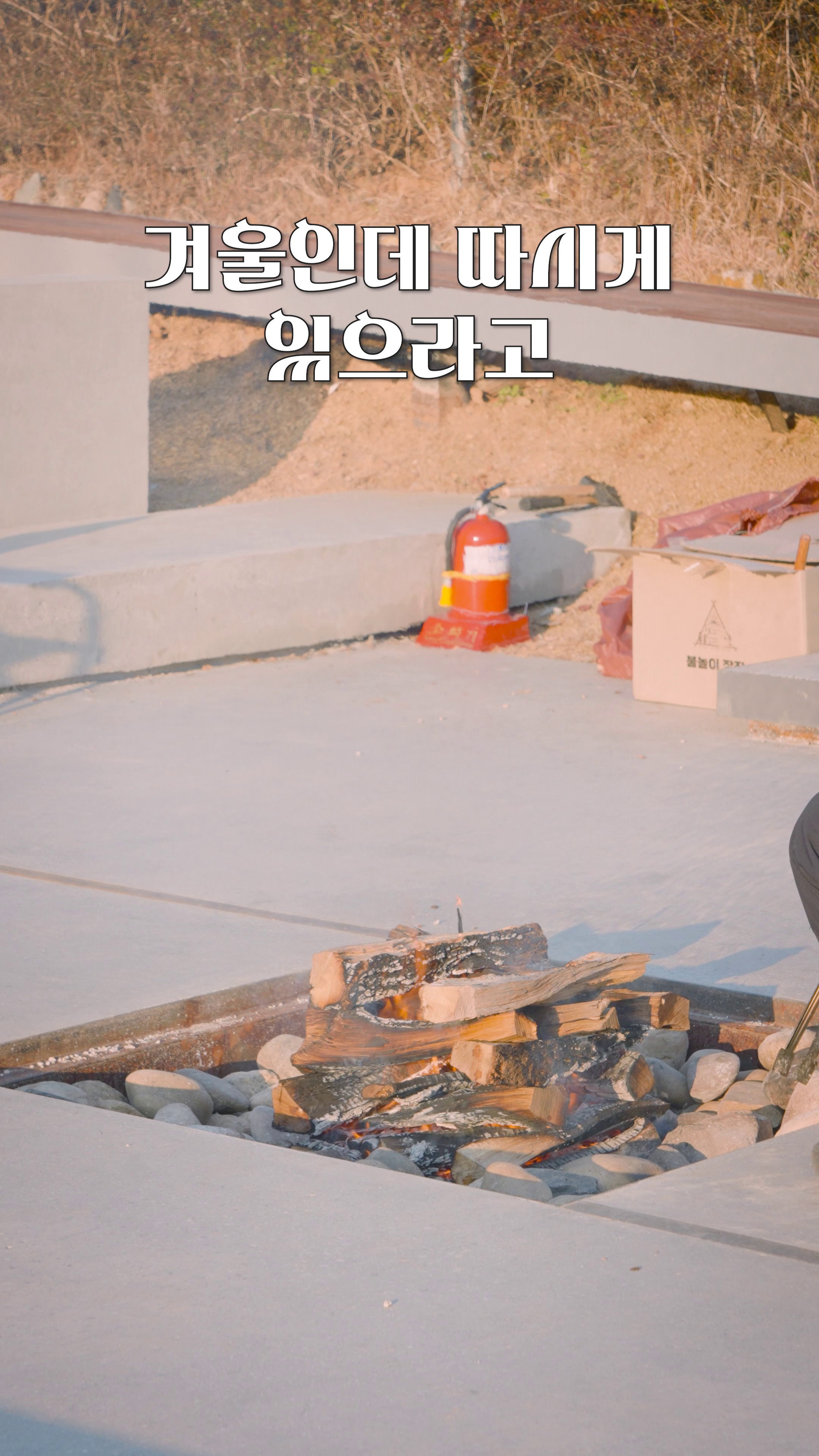 콘텐츠