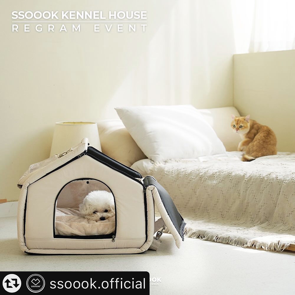 #리그램 - ssoook.official by get_multi_repost
1600만 쏘오옥하우스 분양받을 댕댕이를 찾습니다📣

독립해서 자가마련이 꿈인 댕댕이,
이미 부동산 부자지만 튼튼하고 아늑한 쏘오옥 하우스로 이사 올 댕댕이, 
쏘오옥 하우스가 가지고싶은 댕댕이들을 모집합니다
(물론! 우리 고양이들도 참여 가능합니다😉)

여행이나 캠핑할때 척척접어 들고갈수 있고, 카시트로도 사용가능하고, 켄넬훈련까지 가능한
강아지 집, 켄넬, 카시트 겸용 1600만 쏘오옥 하우스✨
쏘오옥을 사랑해주신 감사한 마음을 가득➿담아 준비한 체험단 리그램 이벤트🖤

📍하우스 체험단 경품
 [SO-HS001] 쏘오옥 하우스 세트🏡

📍모집인원: 2명
- 랜덤추첨: 1명
- MD선정: 1명

📍이벤트 참여방법
1️⃣ 쏘오옥(ssoook.official) 인스타그램 계정을 팔로우 + 해당 게시글을 리그램해주세요🤍
2️⃣ 리그램 후 “쏘오옥 홈페이지 회원가입”을 해주세요!
3️⃣ 해당 게시글 댓글로 “참여완료”+“친구소환” + “홈페이지 아이디”를 꼭! 남겨주세요🥰
4️⃣ 게시글 리그램시 해시태그를 남겨주세요✨
 #강아지집 #강아지하우스 #강아지카시트 #doghouse 

📍이벤트 기간: 2024.01.08(월)~2024.01.12(금)자정까지

📍당첨자 발표: 랜덤추첨1명, MD선정1명(색상은 랜덤으로 발송됩니다)
랜덤 추첨 후 DM 개별 연락🫶
(유령계정,비공개계정,이벤트 전용 계정은 당첨에서 제외됩니다)