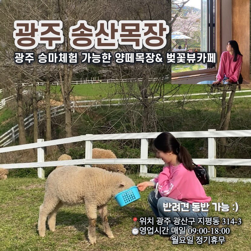 광주 광산구 송산목장

📍위치 광주 광산구 지평동 314-3 
⏱영업시간 매일 09:00-18:00 / 월요일 정기휴무
✔ 반려견 동반 가능, 넓은 주차장 보유, 모래놀이장과 잔디밭 공원도 있어요

광주 이색데이트, 아이들과 함께 가기 좋은 자연체험장
지금 벚꽃이 정말 풍성하게 피어있어서 더더 예뻐요 :)

더 자세한 리뷰는 블로그 참고해주세요🖤

ㅡㅡㅡㅡㅡㅡㅡㅡㅡㅡㅡㅡㅡㅡㅡㅡㅡㅡㅡ
#다모여_광주 
#다모여_광산구
#다모여_카페
#다모여_여행

각 지역의 카페와 맛집을 찾고싶다면 
#다모여_지역명 을 검색해주세요🔎
ㅡㅡㅡㅡㅡㅡㅡㅡㅡㅡㅡㅡㅡㅡㅡㅡㅡㅡㅡ