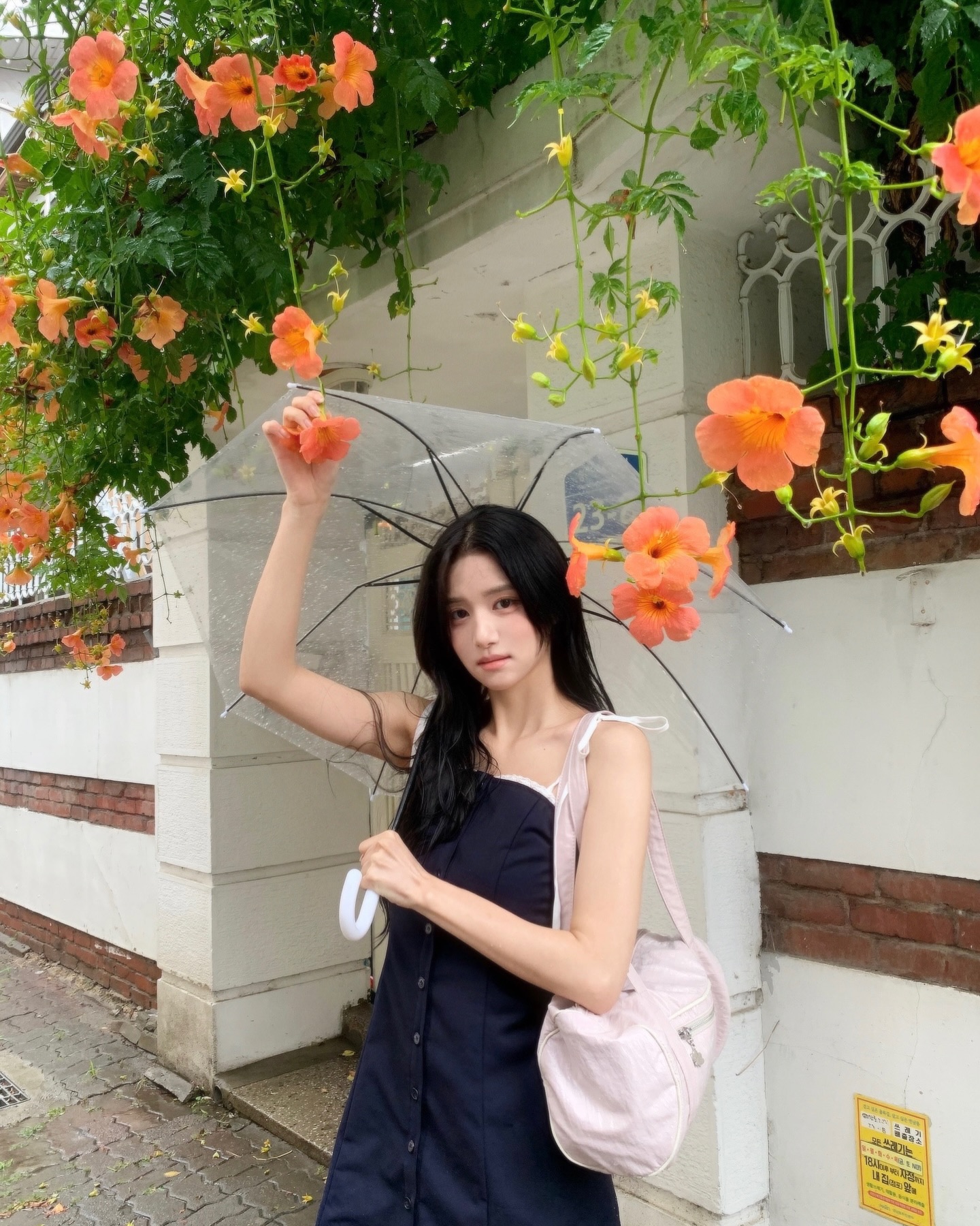 여름엔 능소화랑 수박이랑 🌧️