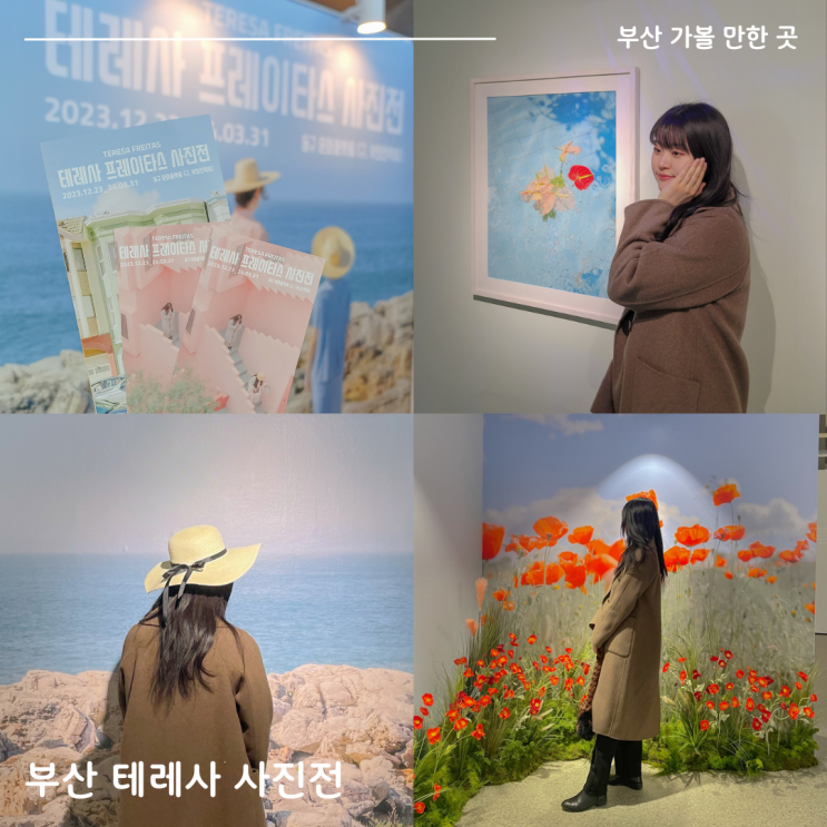 부산; 테레사 사진전 포토스팟, 전시 후기, 굿즈