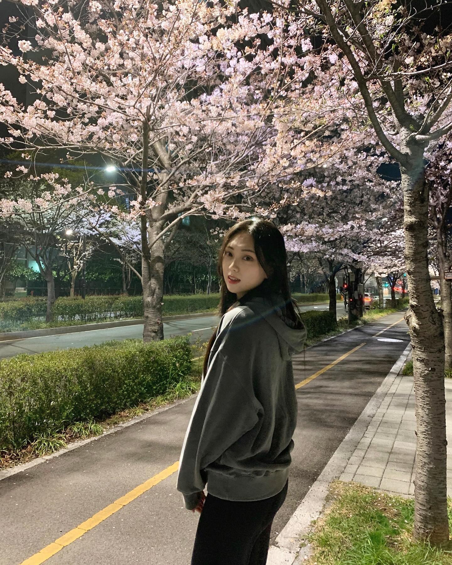 🌸🌸🌸
