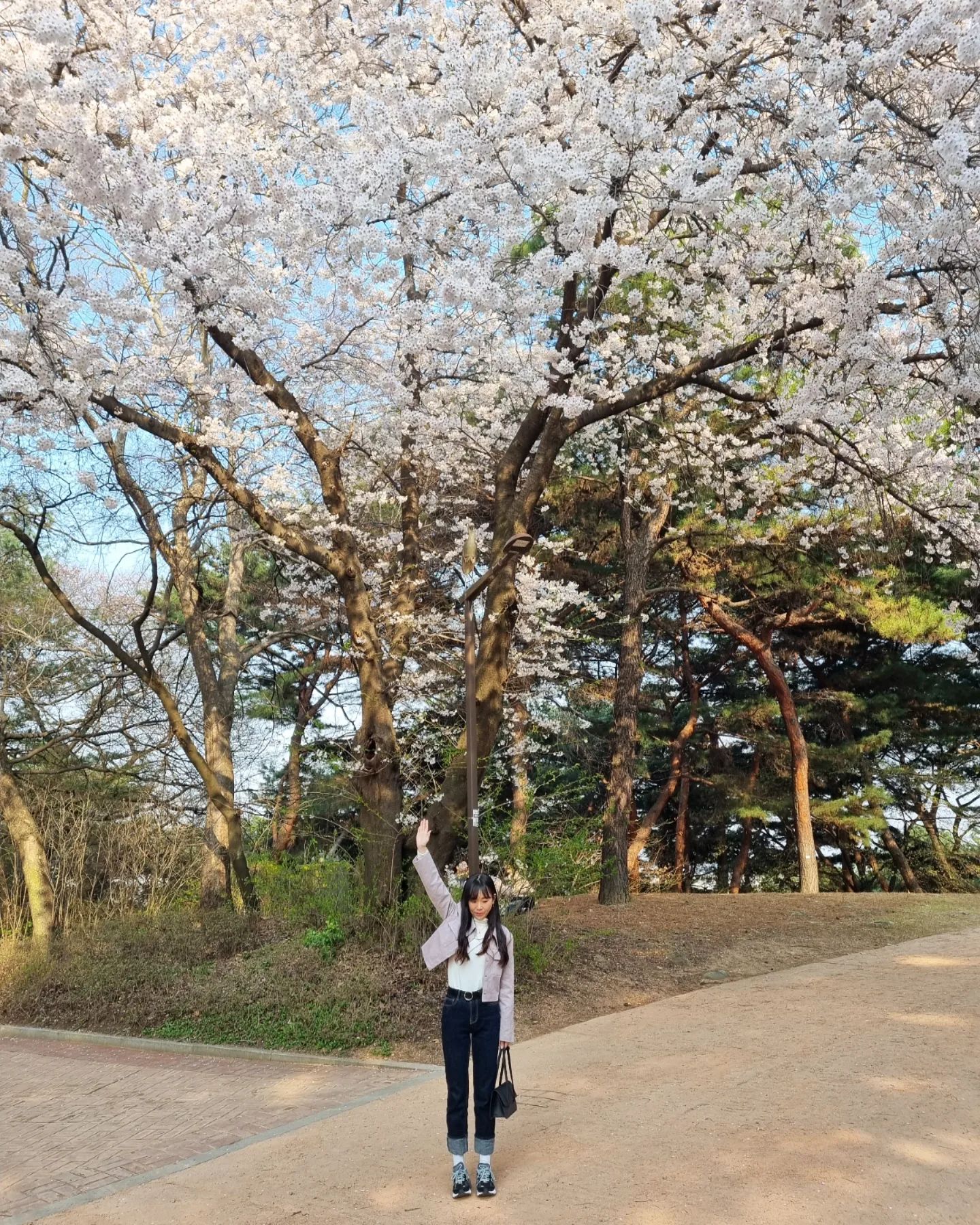 어디든🌸
.
.
.
#수원 #화성행궁 #수원도청 #어딜가도 #벚꽃 #봄나들이🌸 #일상 #셀카 #daily #dailylook #ootd #ootdfashion #첫줄 #소통 #좋아요