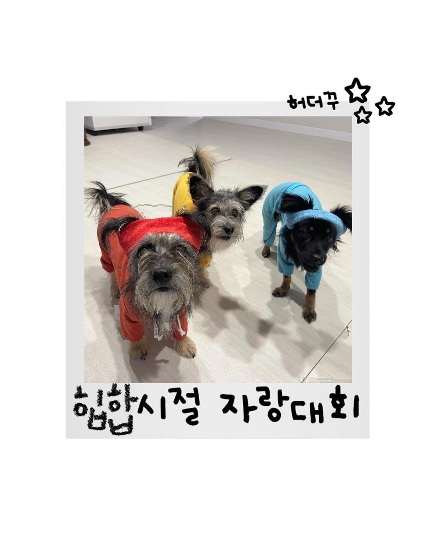 허덕구 이벤트 막차 탑승해요🥁💥

이벤트 참여하려고 앨범 구경하다가 추억에 젖었다,,,,🥹
엘쿠로가 언제 이렇게 컸나,,,,ㅜㅜㅜㅜ시간아 천천히 가줘ㅜㅠㅠ

heodukgoo