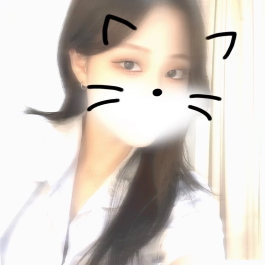 🐱