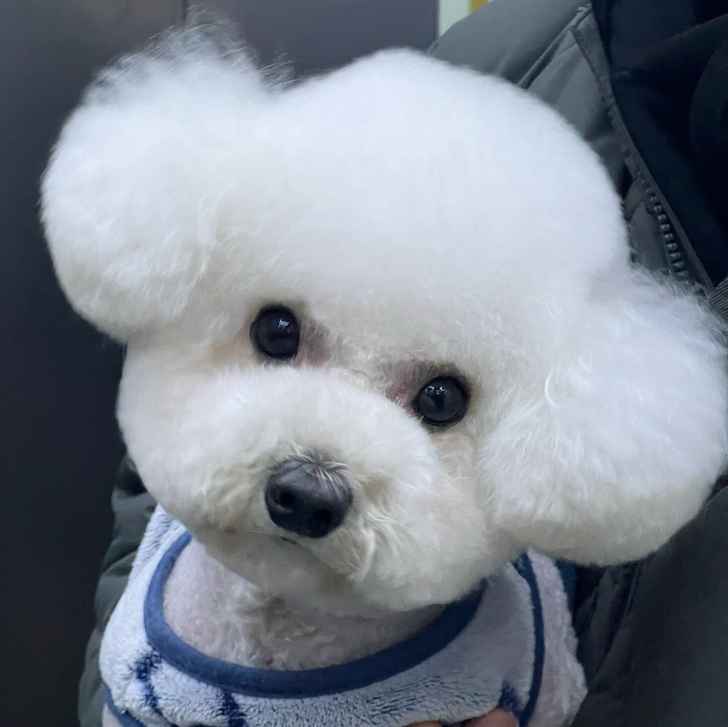 우리모구가 이렇게 이뻤나
