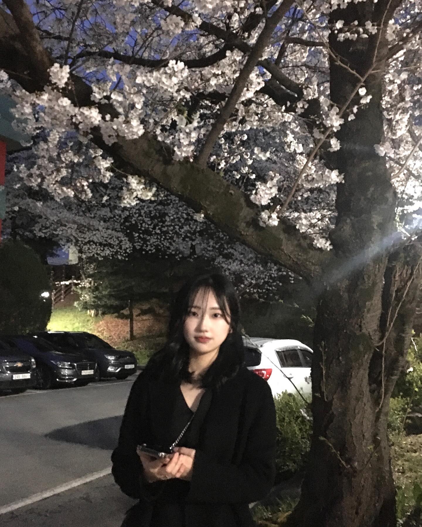 콘텐츠