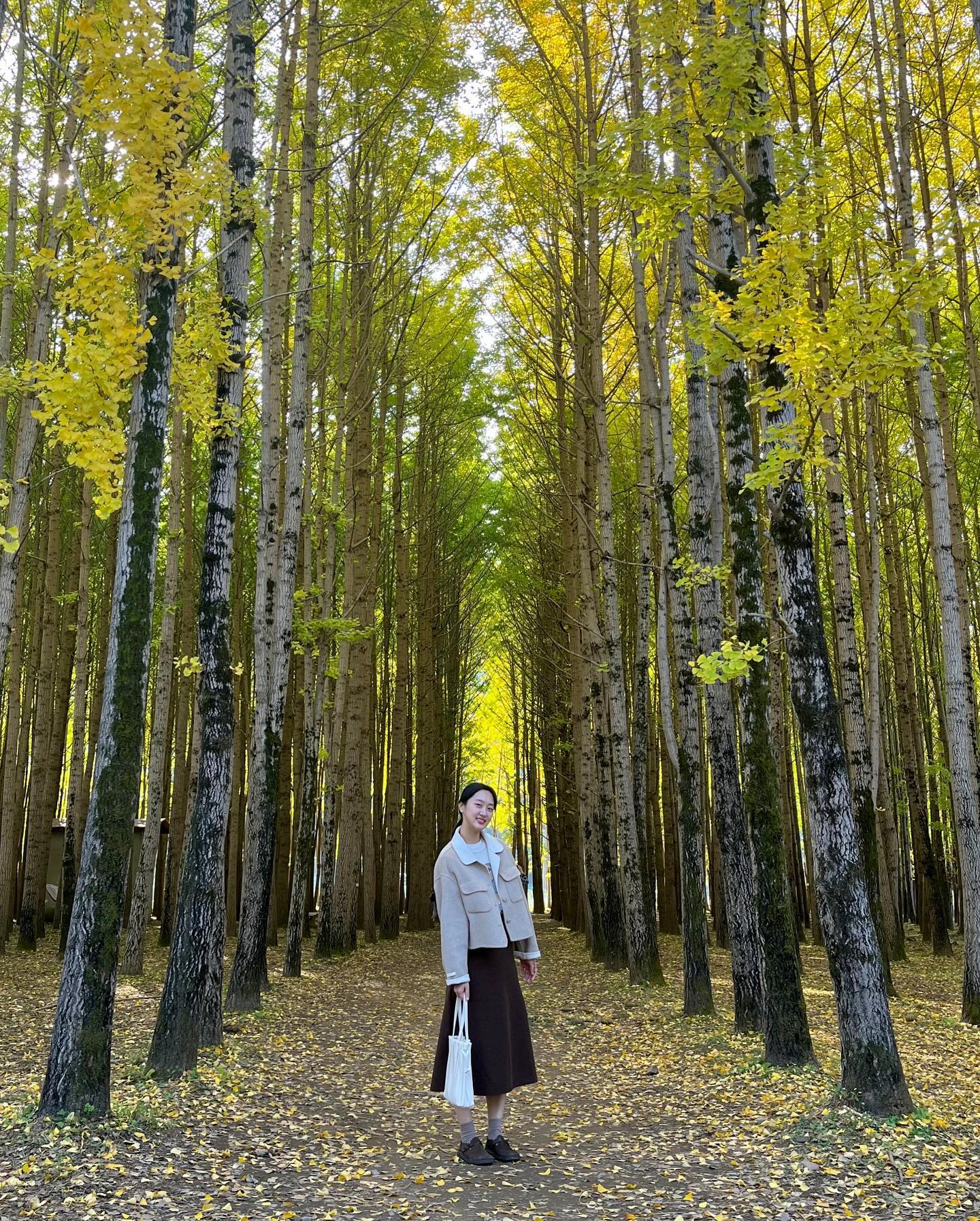 시간은 흘러흘러 벌써 가을〰️🍂
도리마을에서 가을 기운 흠뻑 받아서 돌아오기➰
