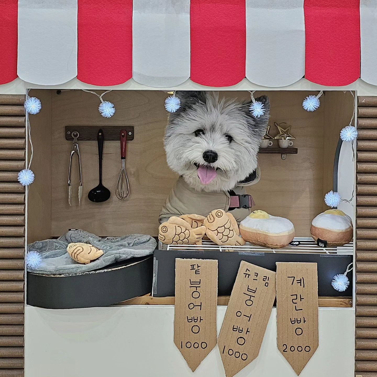 먼지는 여전히 잘 지내고 있어요🎀
오랜만에 애카에 갔더니 영업용 웃음 잔뜩 보여주는 울 멈이 :)

#타카독스
#용인애견카페