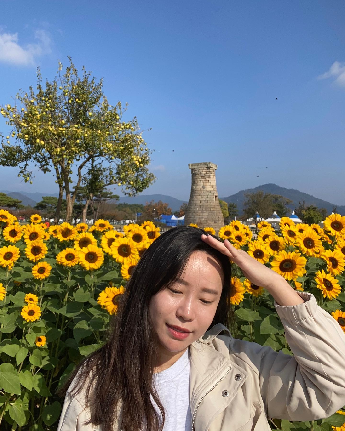 안녕🌻 이제 다시 현실복귀