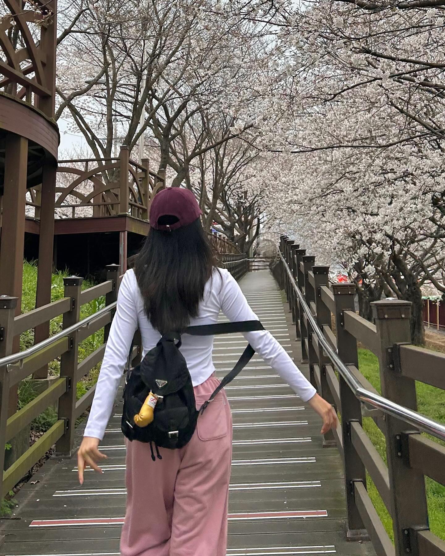 피드에 벚꽃사진 하나는 있었야지
.
.
.
#벚꽃 #벚꽃명소 #밀양