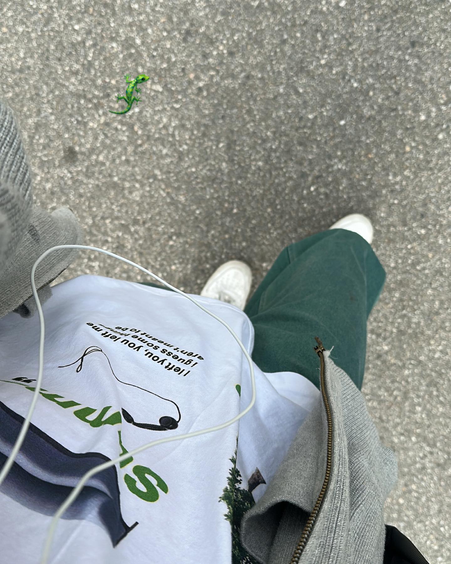 🦎