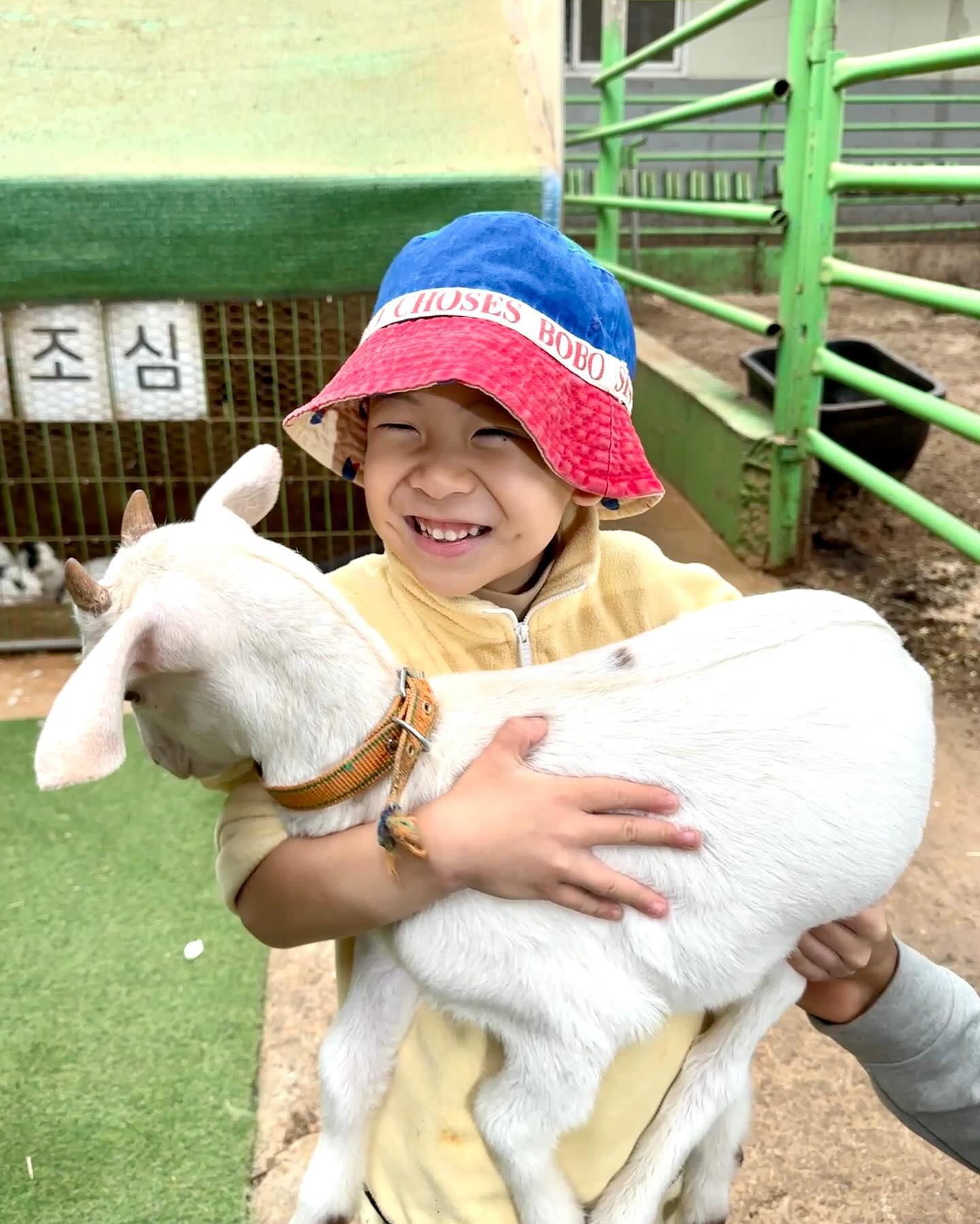 🐐💛
아기염소를 대하는 승준이와 채이의 온도차🌡️
ㅋㅋㅋㅋㅋㅋㅋㅋㅋㅋㅋㅋㅋㅋㅋㅋ
김빼이 표정 너무 웃곀ㅋㅋㅋㅋㅋㅋㅋㅋ
🤣🤣🤣ㅋㅋㅋㅋㅋㅋㅋㅋㅋ
염소보다 고양이가 오천배 더 좋은 채잌ㅋㅋ😻
승준아 너는 눈빛보니 증말 동물한테 진심이구나...❤️
ㅋㅋㅋㅋㅋㅋㅋㅋㅋㅋㅋㅋㅋㅋ