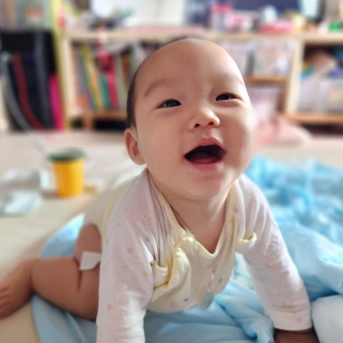 해맑은 둘째
아무거나 입에 다 넣고 보는 녀석

소유는 아직도 닭다리를 안뜯지만
얘는 곧 볼수 있을듯ㅋ

#둘째 #7개월 #23년생 #아들맘 #토끼띠 #육아맘 #육아스타그램