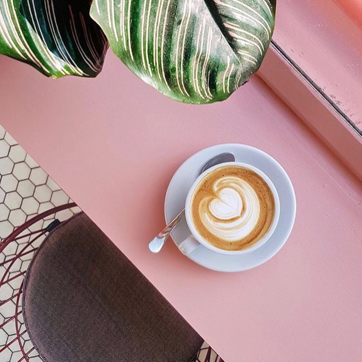 따뜻한 라떼 ☕️