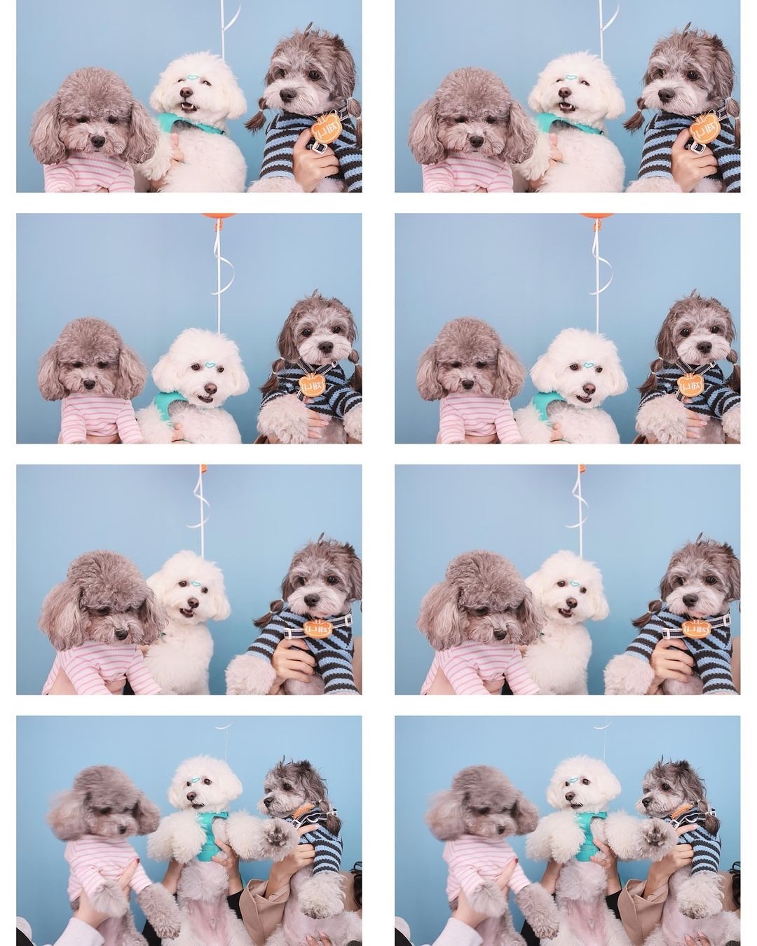 우정네컷📸
담엔 웃는 얼굴로 찍어보자구~👀