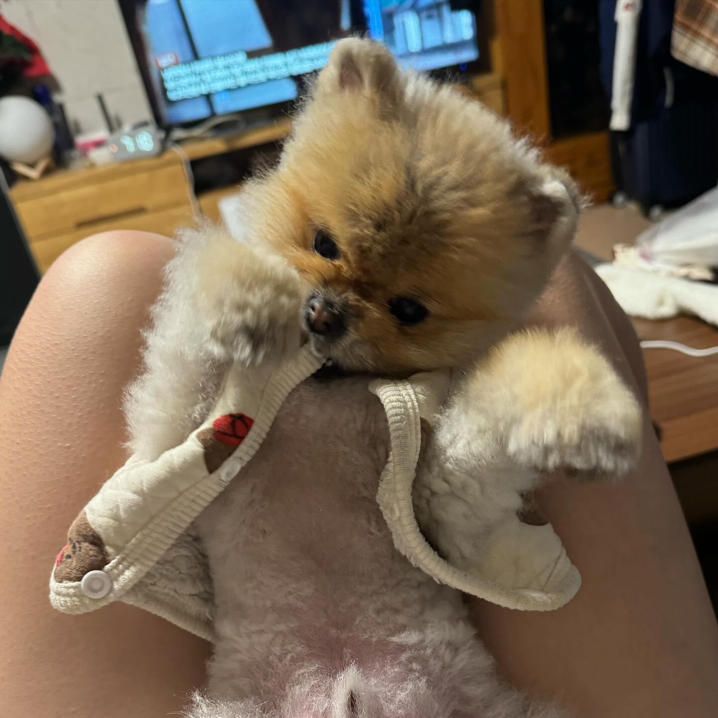 개부장님st
#룽지의하루