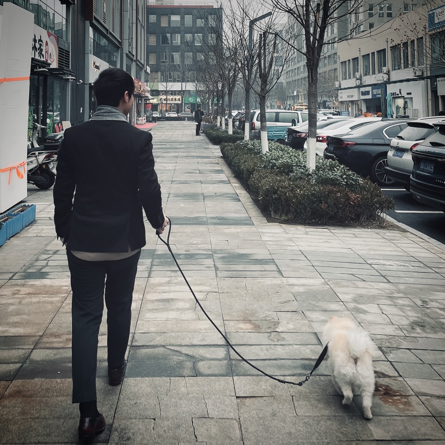 수트입고 개쪼꼬 산책 시키기
#중국 #산동 #칭다오 #청도 #청양 #댕댕이🐶 #댕산책