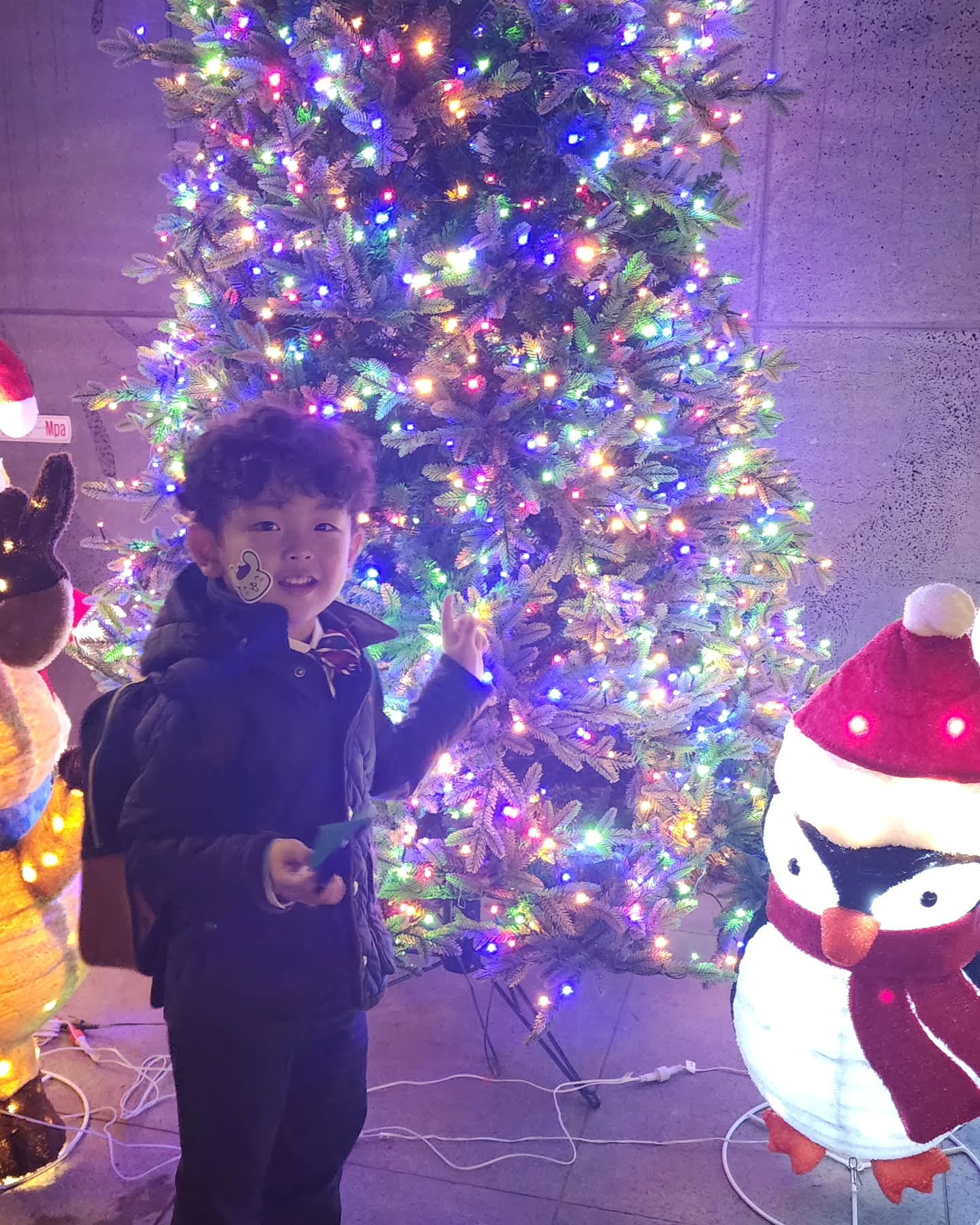 아들 유치원에 데리러갔다가
어제 못본 트리가 오늘은 뿅🎄