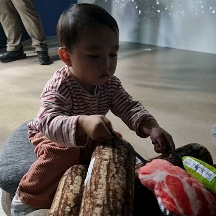 콘텐츠