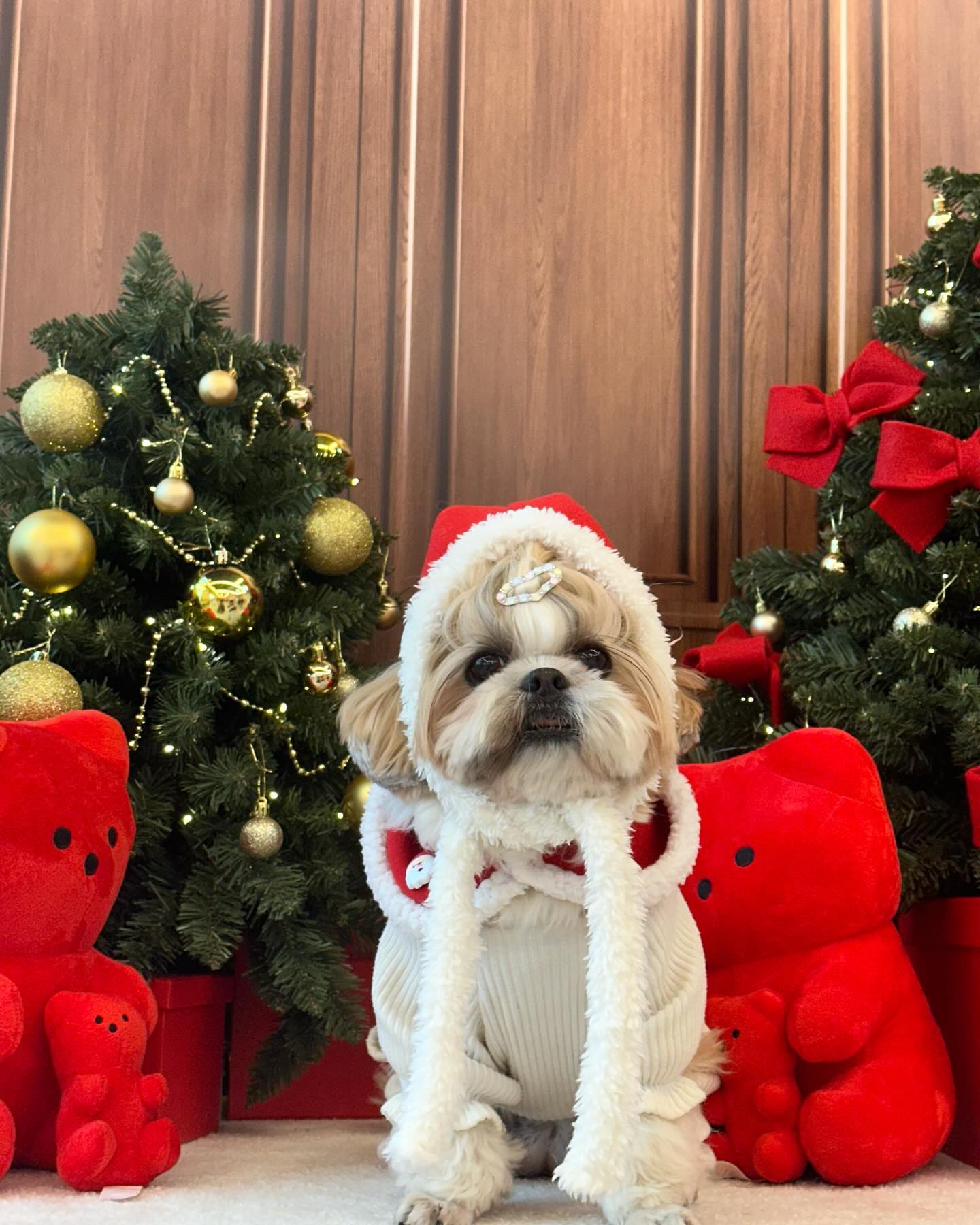 울 찡코 👶🏻 ꪑꫀ𝘳𝘳ꪗ ᥴꫝ𝘳𝓲𝘴𝓽ꪑꪖ𝘴 🎄❤️