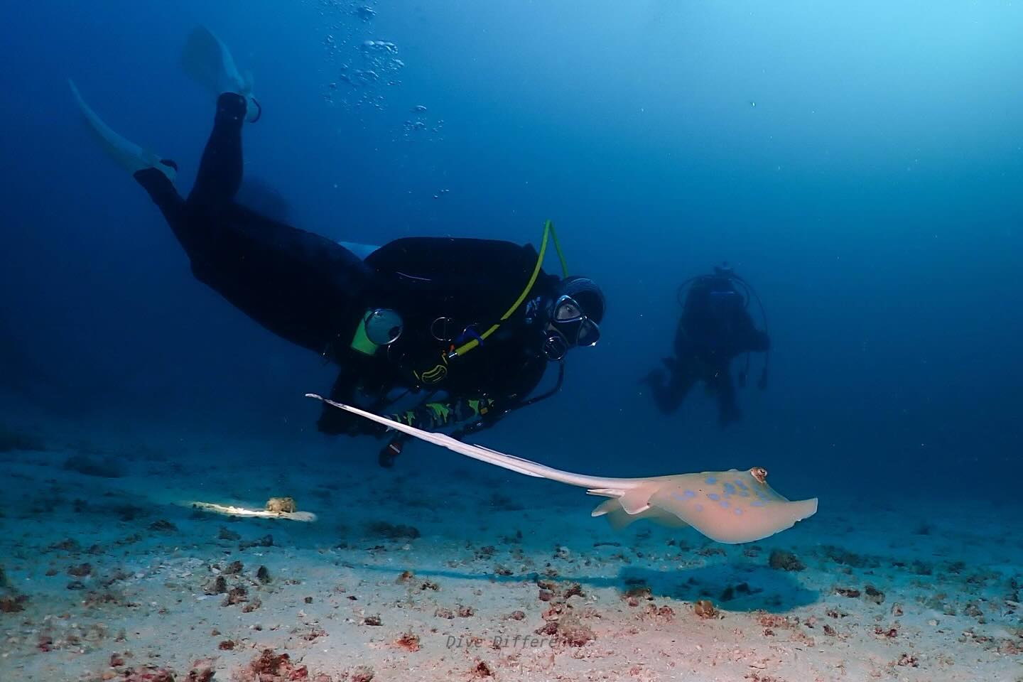 안녕, 만나서 반가워😍

#divingtour 
#northandaman
#northandamandiving