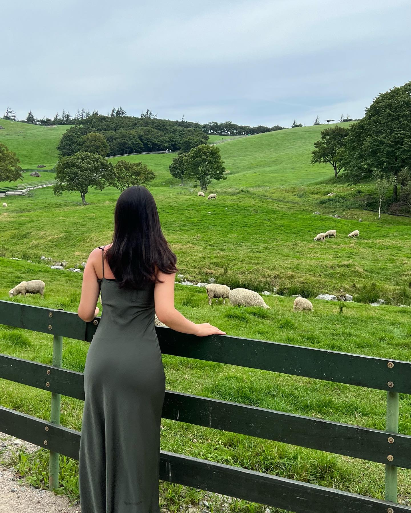털찐 양보다 내가 더 통실통실🐑🌿